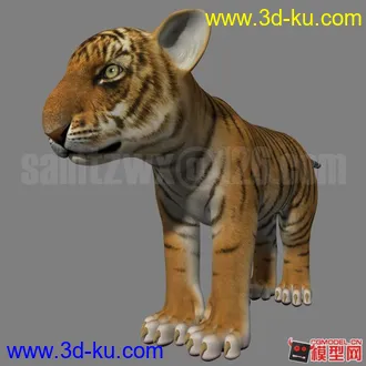 3D打印模型Tigerkin的图片