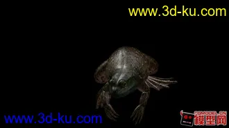 3D打印模型青蛙的图片