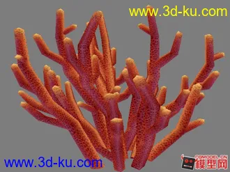 3D打印模型珊瑚的图片