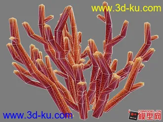 3D打印模型珊瑚的图片