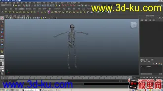3D打印模型人体骨骼的图片