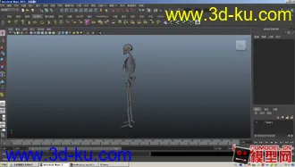 3D打印模型人体骨骼的图片