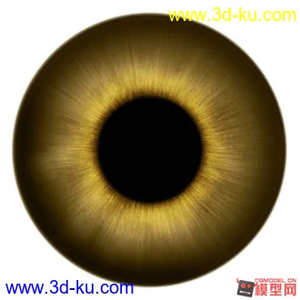 3D打印模型高清人物五官.头发贴图下载的图片