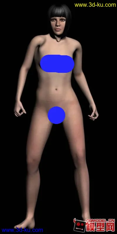 裸模女蒙皮模型的图片1