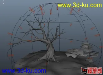 树的模型....的图片