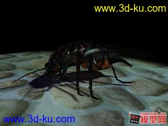 3D打印模型虫子~~有材质灯光哦~~~的图片