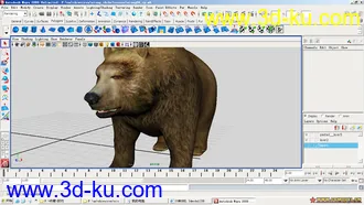 3D打印模型熊的图片