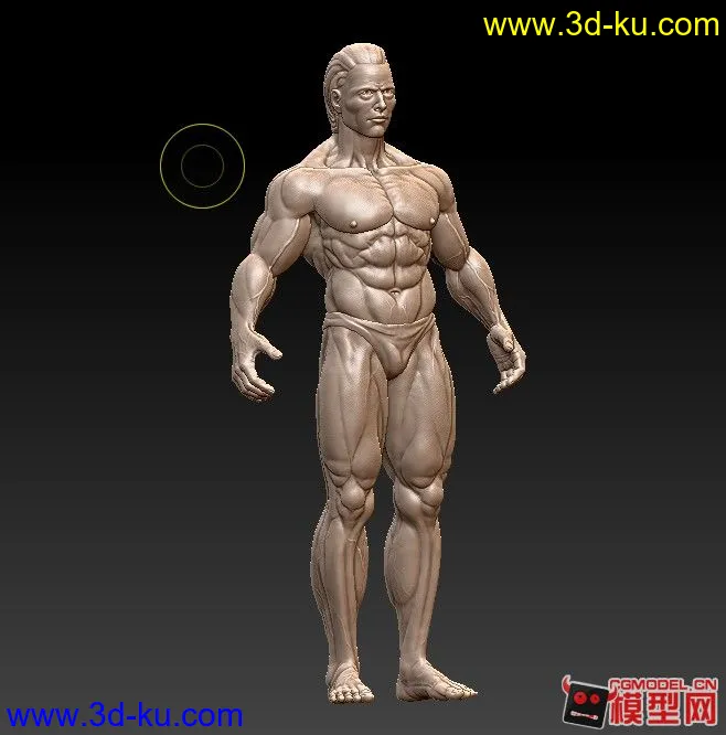 zbrush 人体模型的图片1