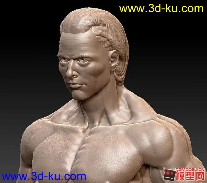 zbrush 人体模型的图片3