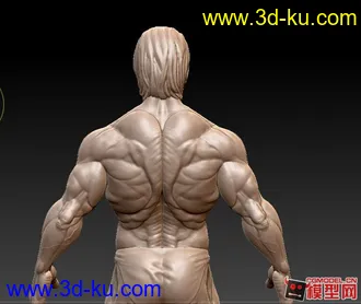 3D打印模型zbrush 人体的图片