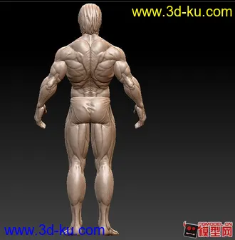 3D打印模型zbrush 人体的图片