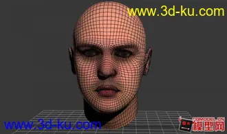 3D打印模型重发人头一枚，高精度，带贴图的图片