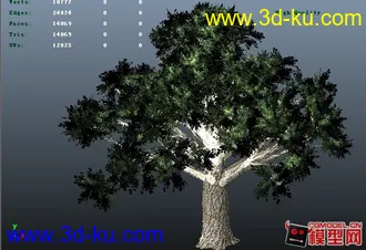 3D打印模型写实树木的图片