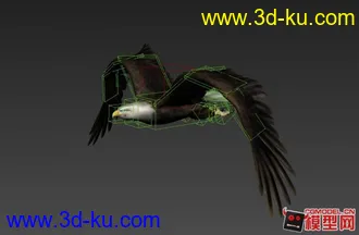 3D打印模型有动画的鹰的图片