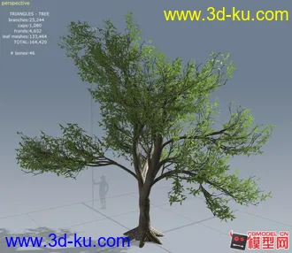 动画场景树模型带贴图的图片