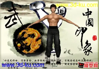 3D打印模型Bruce-Lee的图片