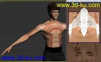 3D打印模型Bruce-Lee的图片