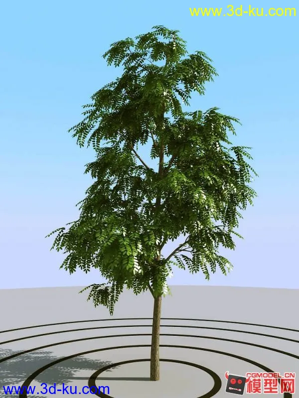 超真实树模型（高模树模型）的图片1