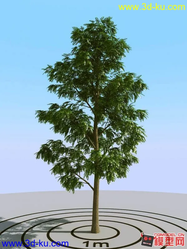 超真实树模型（高模树模型）的图片2
