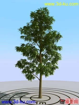 超真实树模型（高模树模型）的图片