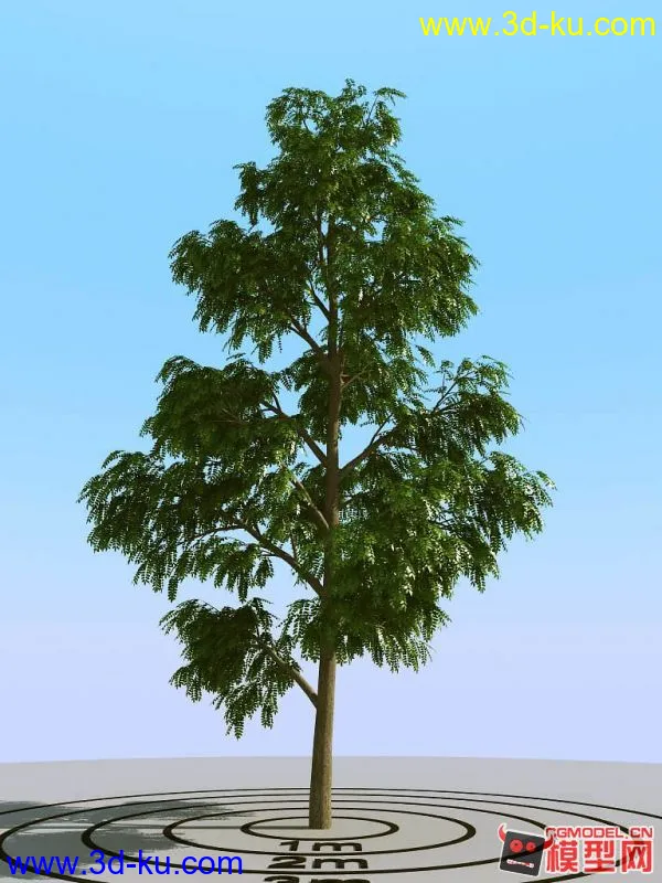 超真实树模型（高模树模型）的图片3