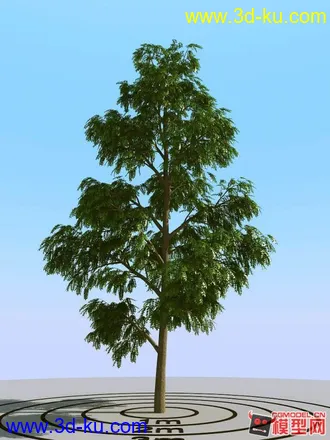 超真实树模型（高模树模型）的图片
