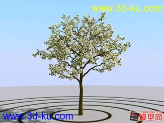 超真实树模型（高模树模型）的图片