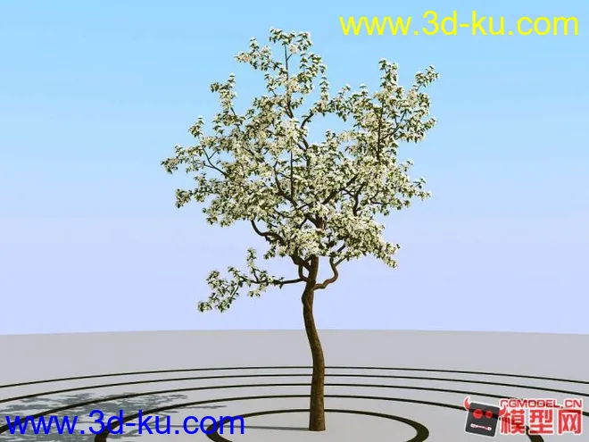 超真实树模型（高模树模型）的图片5