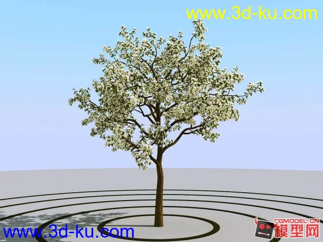 超真实树模型（高模树模型）的图片6