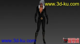 3D打印模型黑猫的图片