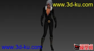 3D打印模型黑猫的图片