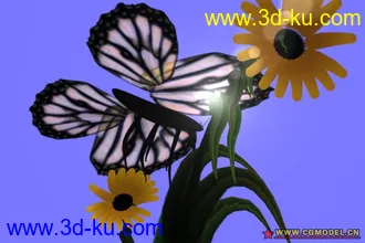 3D打印模型蝴蝶帶綁定加HAIR動態的图片