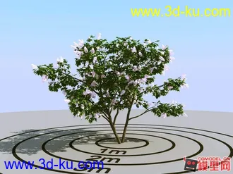 3D打印模型树木 花 木的图片
