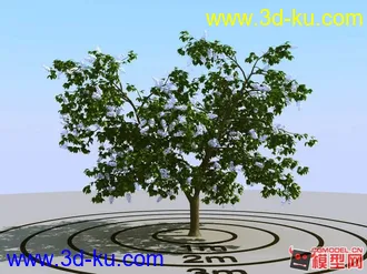 3D打印模型树木 花 木的图片