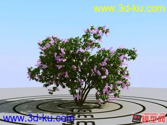 3D打印模型树木 花 木的图片