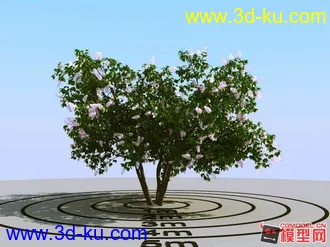 3D打印模型树木 花 木的图片