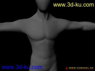 3D打印模型男人体的图片