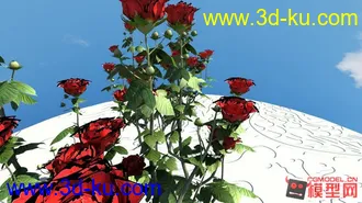 3D打印模型玫瑰花2014213为明天做的的图片