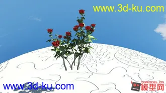 3D打印模型玫瑰花2014213为明天做的的图片