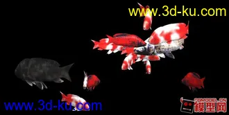 游鱼动画3D模型的图片