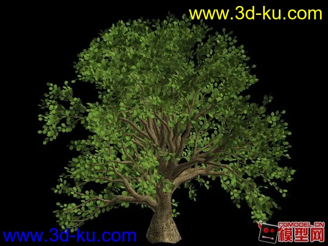 大树精模3D模型的图片1
