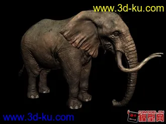 3D打印模型大象一枚。的图片