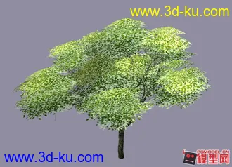 3D打印模型树的精模与简模的图片