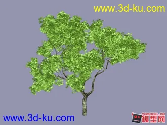 3D打印模型树的精模与简模的图片