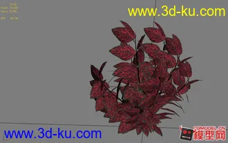灌木模型的图片