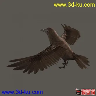 3D打印模型乌鸦——希望大家喜欢~的图片
