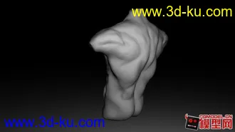 3D打印模型新手zbrush作品，上半身人体的图片