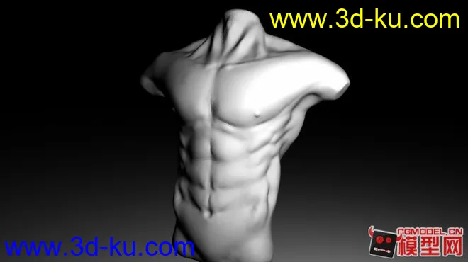 新手zbrush作品，上半身人体模型的图片2