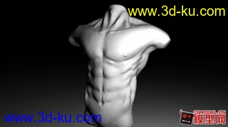 3D打印模型新手zbrush作品，上半身人体的图片