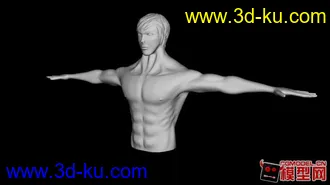 3D打印模型新人制作半身像的图片